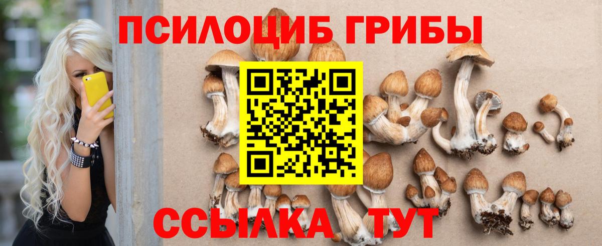 Псилоцибиновые грибы мухоморы Павлово