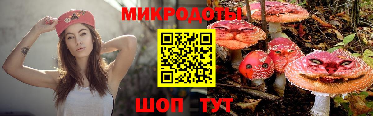 Псилоцибиновые грибы MAGIC MUSHROOMS  наркотики  Павлово  Вход с VPN  Галлюциногенные грибы GOLDEN TEACHER 